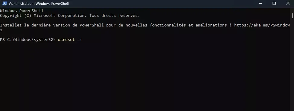 Commande Powershell Microsoft Store absent